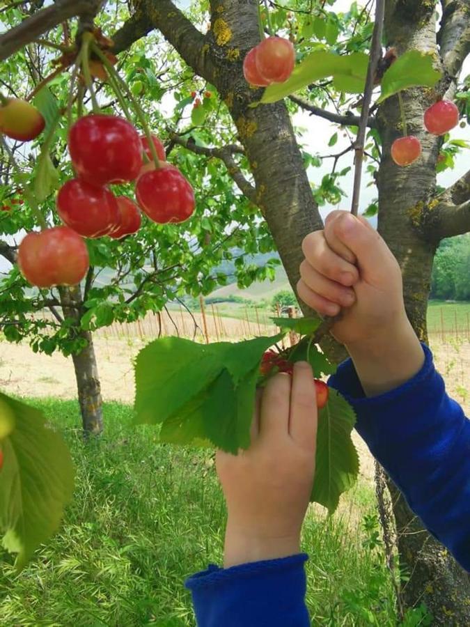 Cascina Valtignosa Camere Con Vigna Cassine Ngoại thất bức ảnh