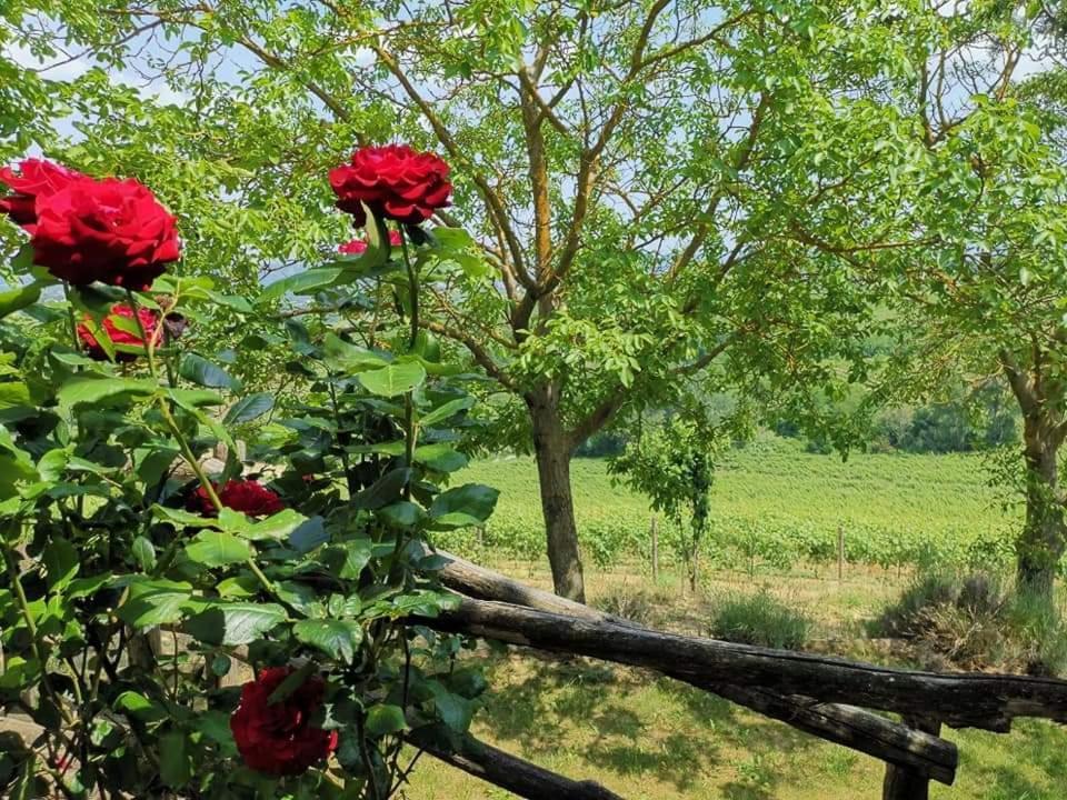 Cascina Valtignosa Camere Con Vigna Cassine Ngoại thất bức ảnh
