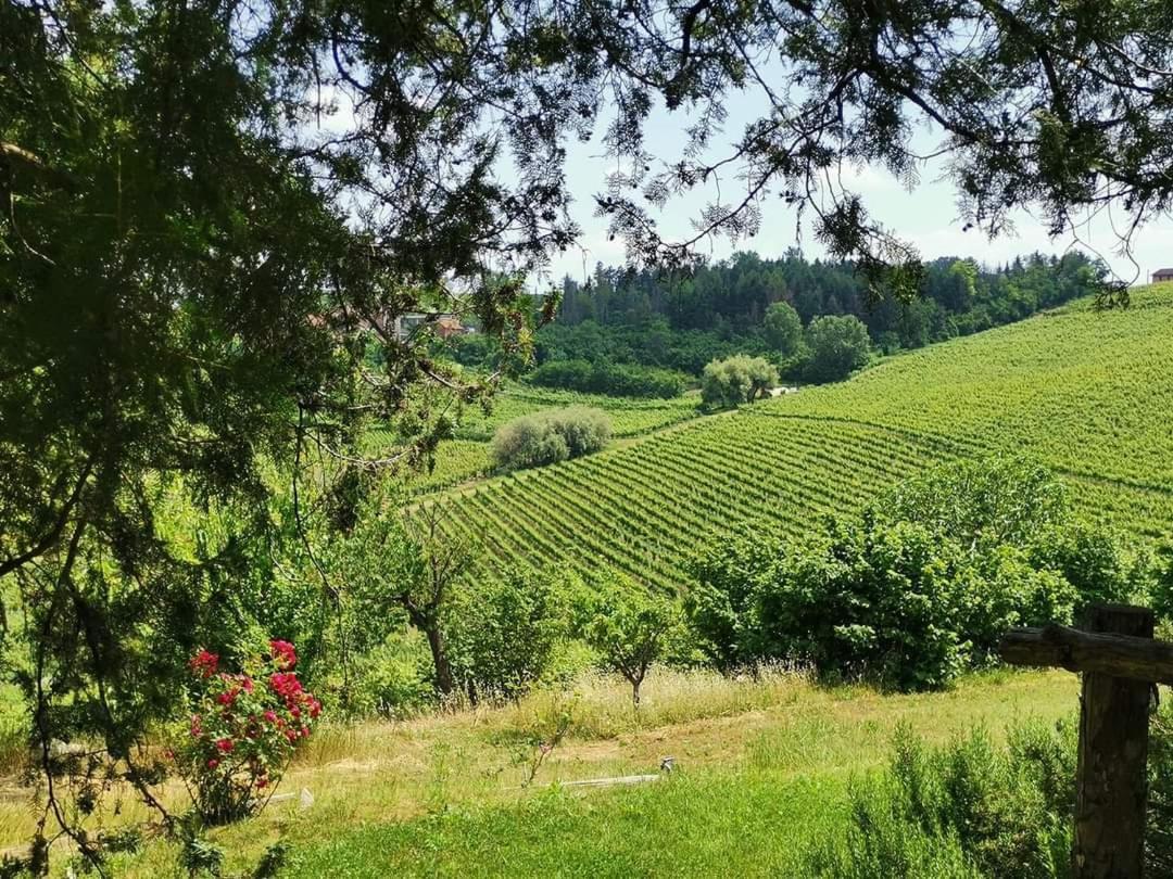 Cascina Valtignosa Camere Con Vigna Cassine Ngoại thất bức ảnh