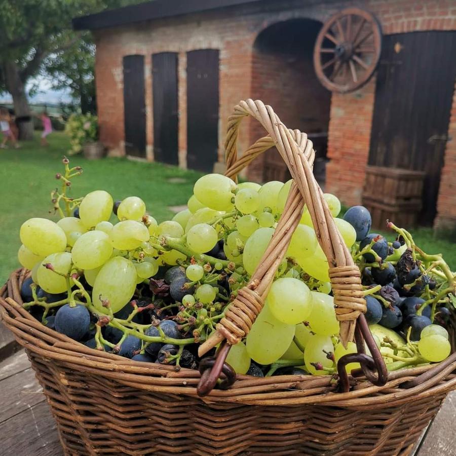 Cascina Valtignosa Camere Con Vigna Cassine Ngoại thất bức ảnh