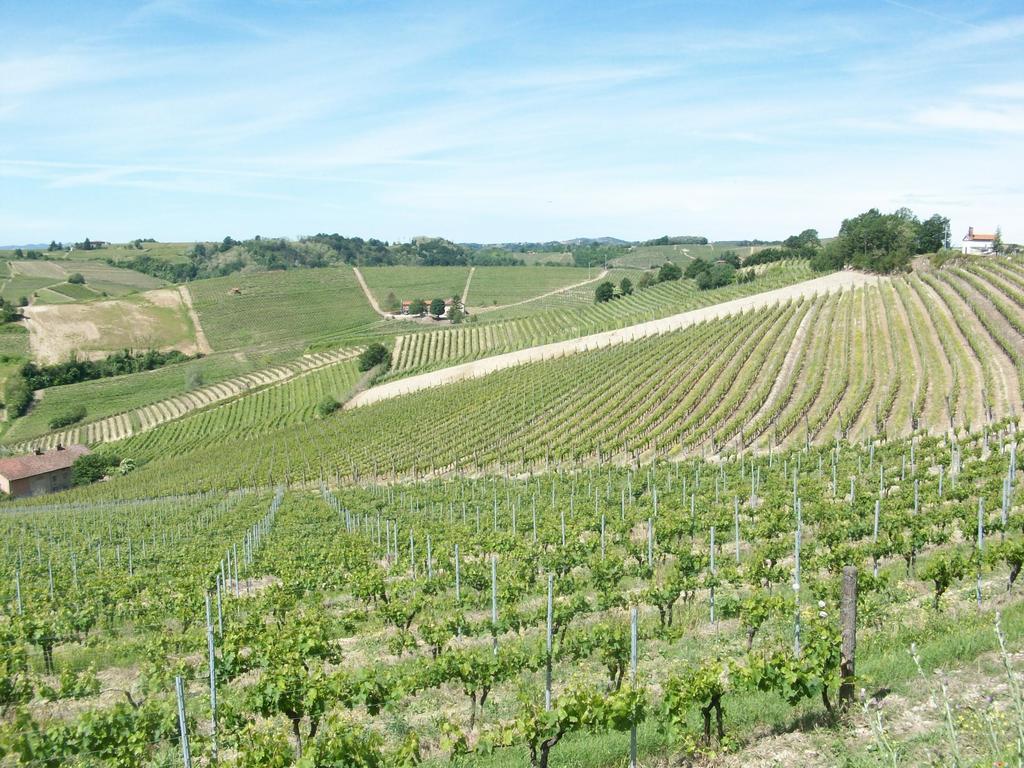 Cascina Valtignosa Camere Con Vigna Cassine Ngoại thất bức ảnh
