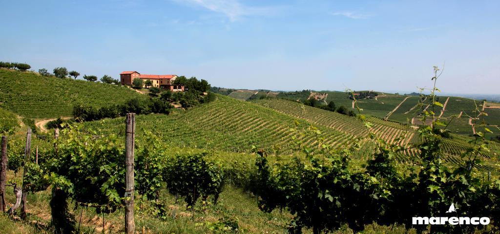 Cascina Valtignosa Camere Con Vigna Cassine Ngoại thất bức ảnh