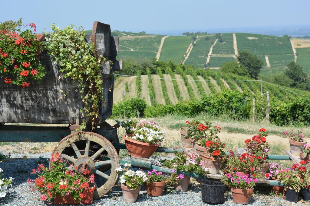 Cascina Valtignosa Camere Con Vigna Cassine Ngoại thất bức ảnh